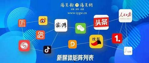 视频爆料自媒体有哪些,视频爆料背后的秘密与影响  第1张