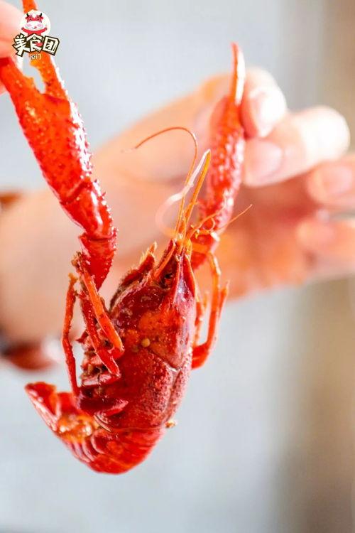 厦门龙虾爆料视频最新,现场实况直击,揭秘海鲜市场新动态 第3张 厦门龙虾爆料视频最新,现场实况直击,揭秘海鲜市场新动态 第3张