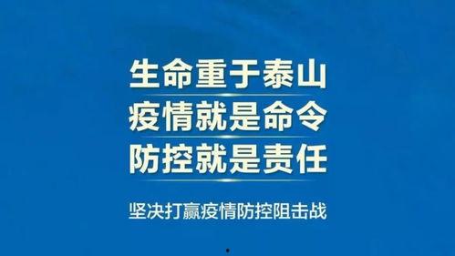 贵港骗局爆料新闻,揭秘网络诈骗背后的惊人真相  第2张
