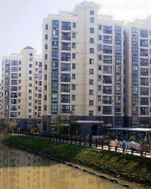 浦东新高苑最新爆料消息,揭秘神秘豪宅背后的故事  第2张