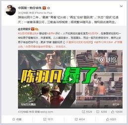 唐佳丽被爆料视频大全最新,揭秘背后真相与争议
